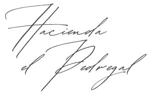 Hacienda El Pedregal